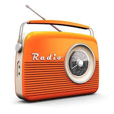 Radio interview Dick Swaab Radio interview Dick Swaab