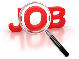 Nieuwe collega gezocht! Nieuwe collega gezocht!