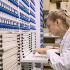 Woensdag 22 januari: NHB bij NPO Focus